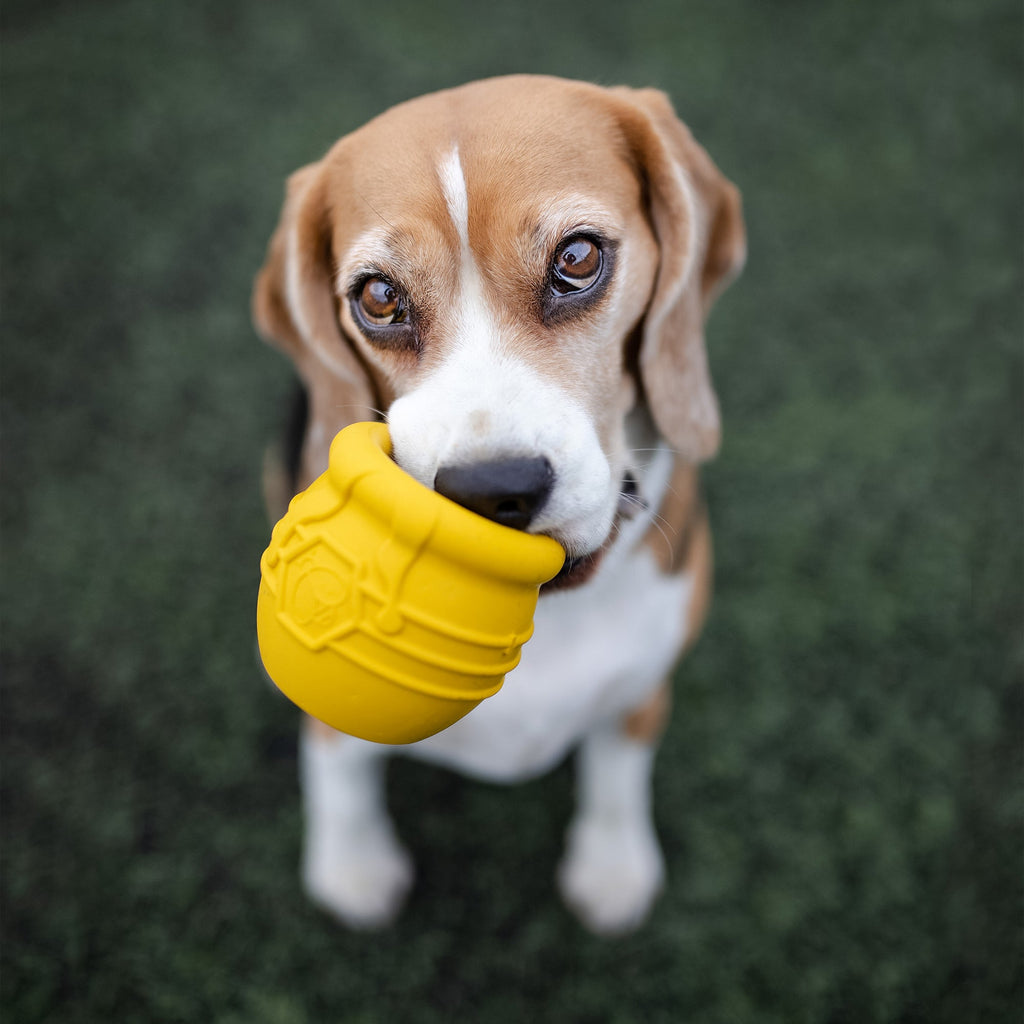 The Honey Pot Enrichment Toy by SodaPup