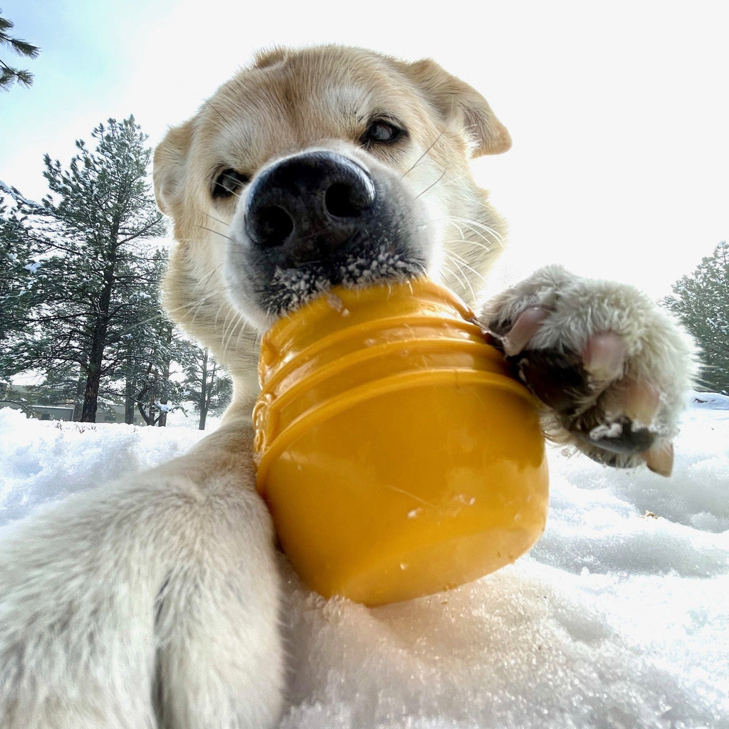 The Honey Pot Enrichment Toy by SodaPup