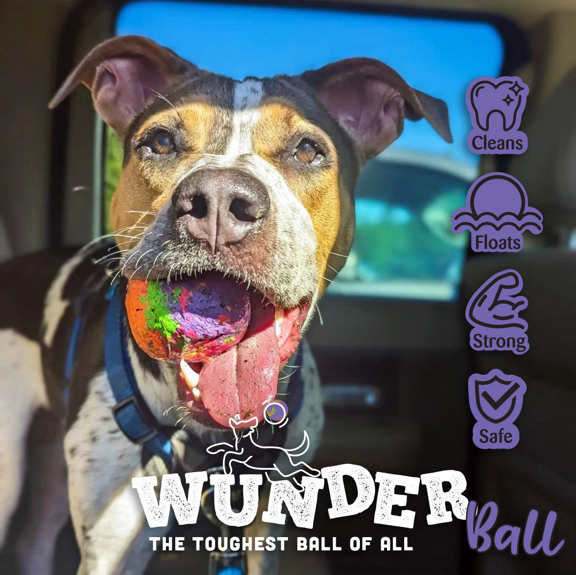 The WUNDERball Natural Rubber Fetch Ball