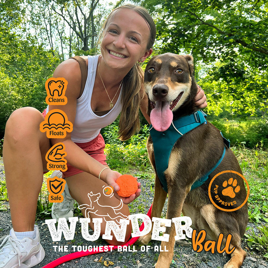 The WUNDERball Natural Rubber Fetch Ball