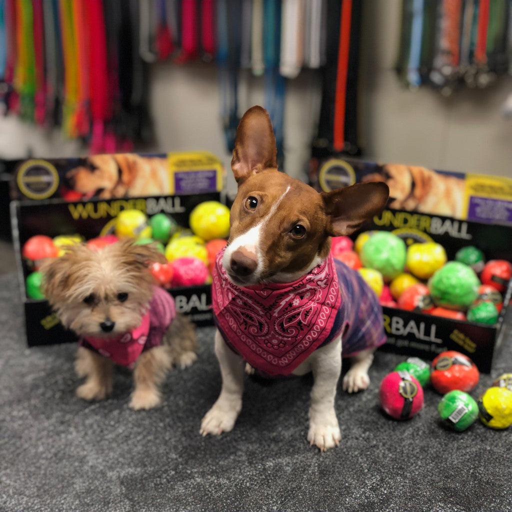 The WUNDERball Natural Rubber Fetch Ball