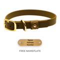The OD Green Field Collar by Barrows
