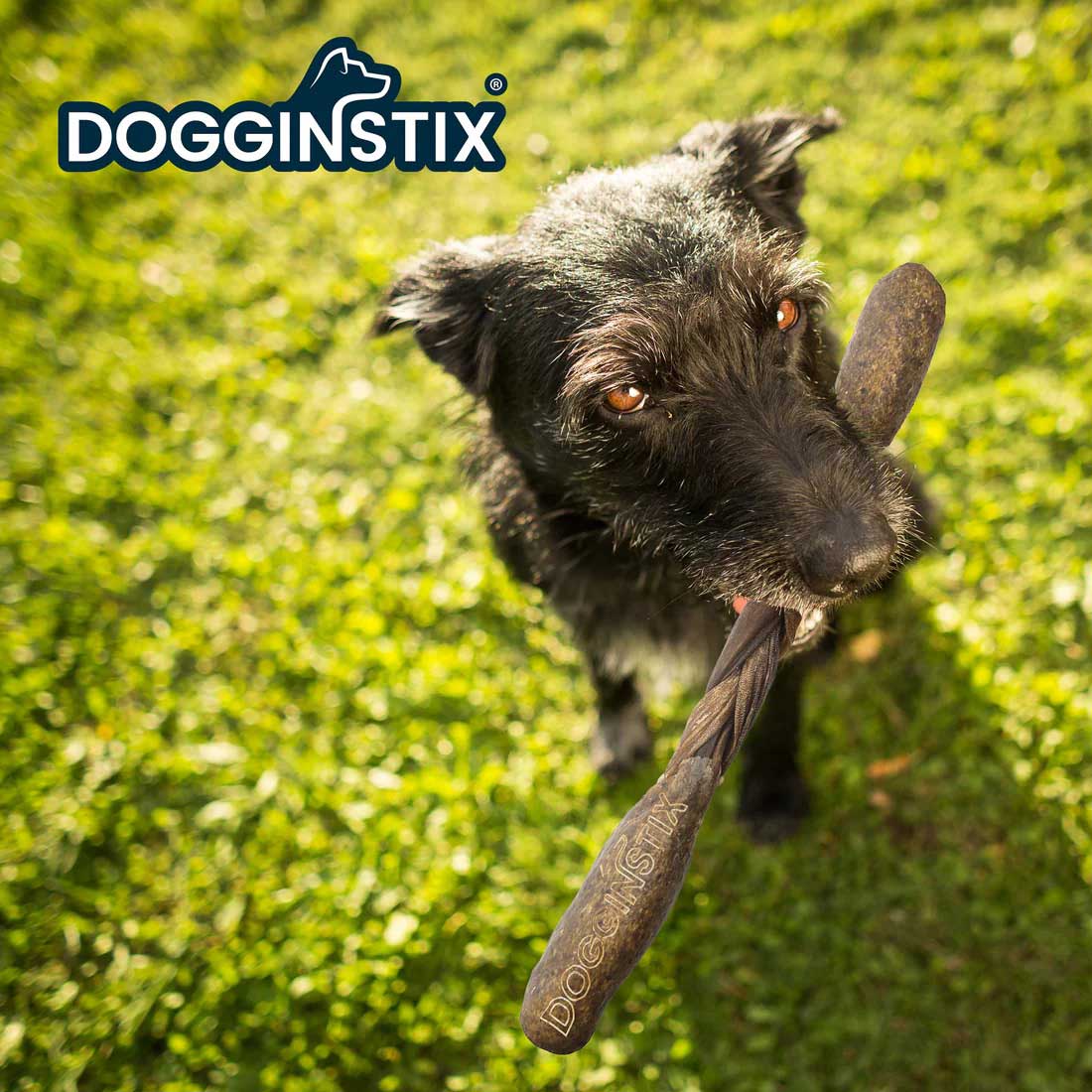 Dogginstix Braided Lamb Collagen Chew