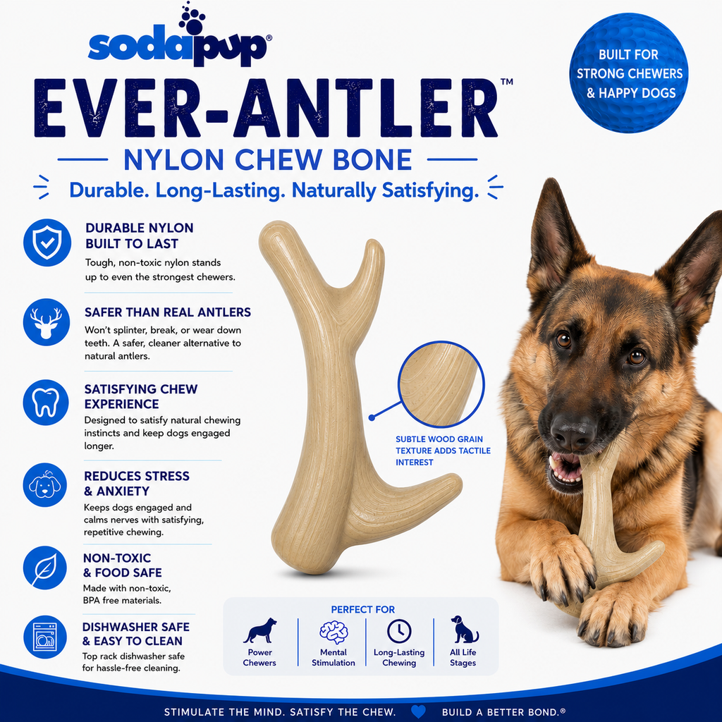 Ever Antler Nylon Chew by SodaPup