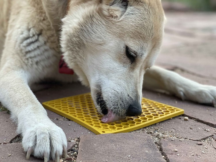 The Honeycomb Enrichment Lick Mat by SodaPup