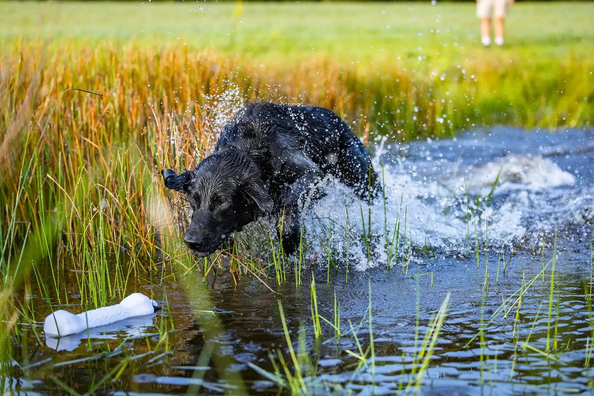 Barrows Retriever Training Bumper Pack — White